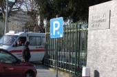 18 pessoas da Secundária transportadas ao hospital devido à lagarta do pinheiro